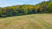 View of your own private forest from your backyard.