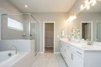 Owner's Bath (model home image)