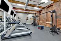 Gym with cardio and professional-grade weight equipment.