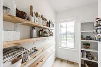 This Pantry is absolutely amazing! The Homeowners added additional shelving!