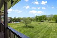 A nice relaxing view of a lush back yard complete with a chicken coop, barn, pool, and over 150 trees creating a serene and picturesque setting. Wait until you see the sunset on this covered deck!