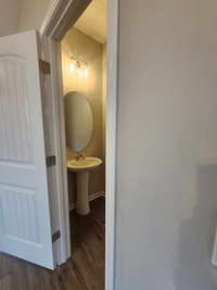 Downstairs Powder Room