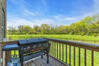 Beautiful view from the back deck, fenced backyard. Common area is maintained by HOA.