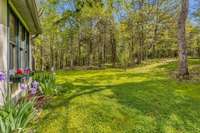 Looking into the side yard