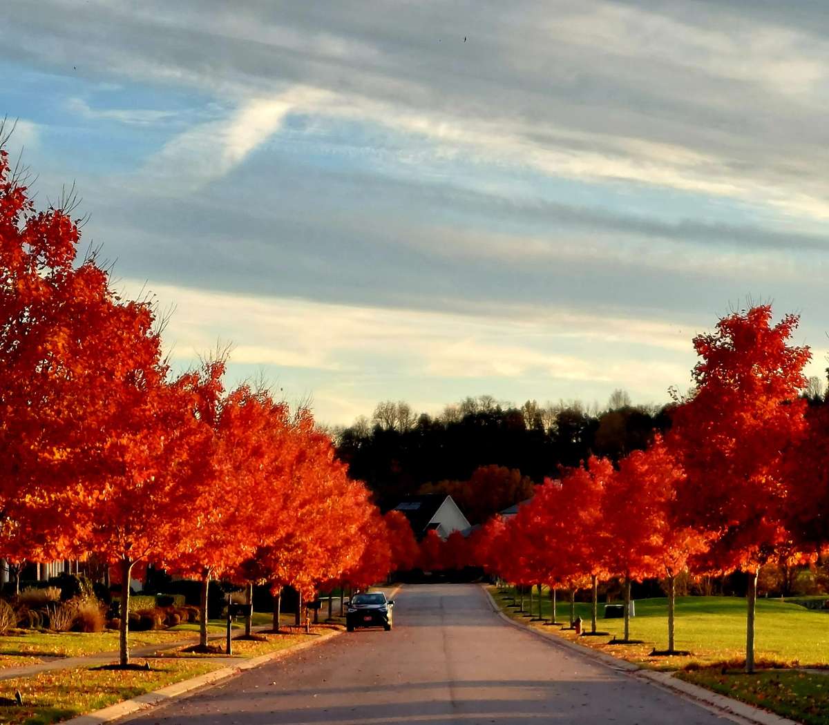 Autumn In Front of our Home.