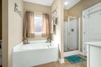 Separate shower & soaking tub.