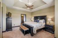 Primary bedroom with double tray ceiling