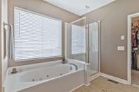 Whirlpool tub and separate shower!