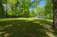 View from the edge of the front yard