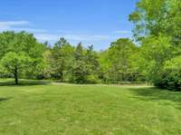 Lush, green meadows