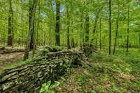 Old dry stacked rock wall. Less and less of these in Tennessee.