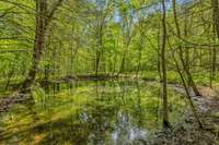 One of two ponds on the property