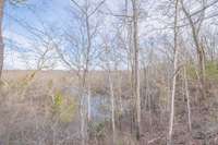 View from the back deck overlooking Spring Creek