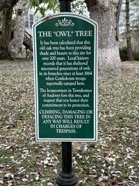The placard telling about the massive Owl Tree landmark.