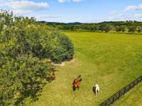 The horses  across the street at the Equestrian Center love to come to the fence for an afternoon apple or carrot.