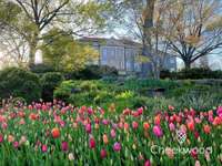 Cheekwood Botanical Gardens