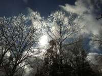 Ice in the trees - on the driveway - they are beautiful - no worries because there's propane for the hot water heater and the two fireplaces provide ample heat!