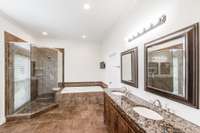 En Suite #1 - downstairs bath with separate shower and tub & double sinks