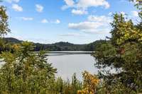 An abundance of wildlife can be found at Radnor State Park.