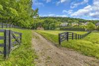 Gravel drive to barn through lush pasture