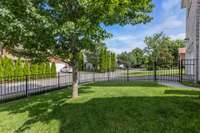 Fenced in rear yard