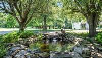 Fishpond/waterfall