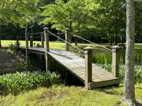 View of the bridge going over the pond.