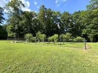 Fruit trees are planted in the backyard.