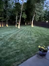 Solar landscape lighting in back yard