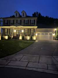 Professional landscape lighting