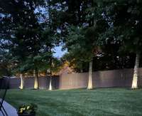 Solar landscape  lighting on back yard trees