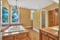 This large bath also has direct access to a primary closet room..