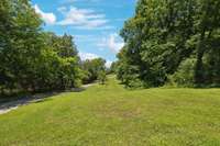 Front yard - house is hidden from the road entrance