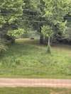 Views of the Buffalo River from the screened in front deck.