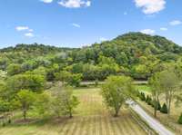 Lower pasture is excellent location for barn/shop and horses… great play area! And the wooded hillside behind home is really cool area to explore!