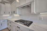 5 Burner Gas cooktop and recessed under cabinet lighting!