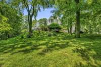 Lush, green back yard.