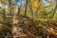 Spring fed creeks on the property.