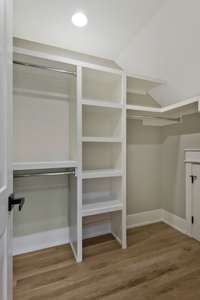 Walk-in closet with built-ins