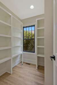 Bedroom 2 walk-in closet