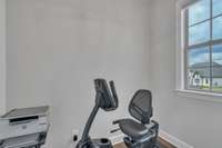 The flex room downstairs is an excellent little getaway space for weights, a TV, and an exercise bike!