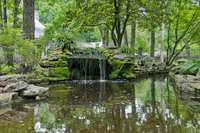 Koi Pond and soothing waterfall