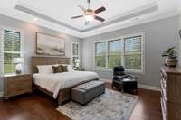 Primary Bedroom in Secondary Home features lots of light, trey ceiling and fan/light