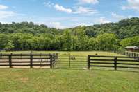 Center pasture and corral