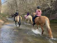 Cooling off after a ride.