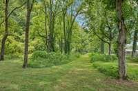 Horse trails on the property