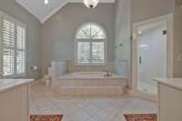 Walk in shower.. soaker tub with a view..