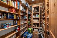 isn't this pantry amazing?!