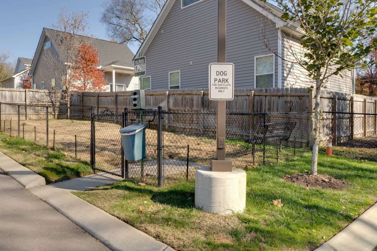 Dog Park