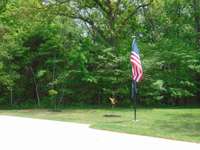 South side of lot facing over 500 acres of TVA forest, full of wildlife.